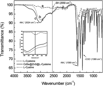 FTIR spectra of cystine-bioconjugated CdSe@ZnS nanocomposites. Reprinted with permission from ref. 749a. Copyright 2012, Acta Physica Polonica A.