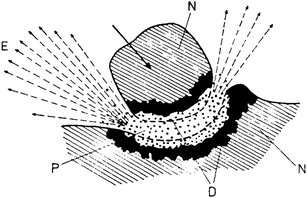 Magma-plasma model: E – exo-electrons, N – undeformed solid, D – highly deformed surface layer, P – plasma.10