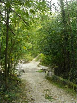 19.JPG